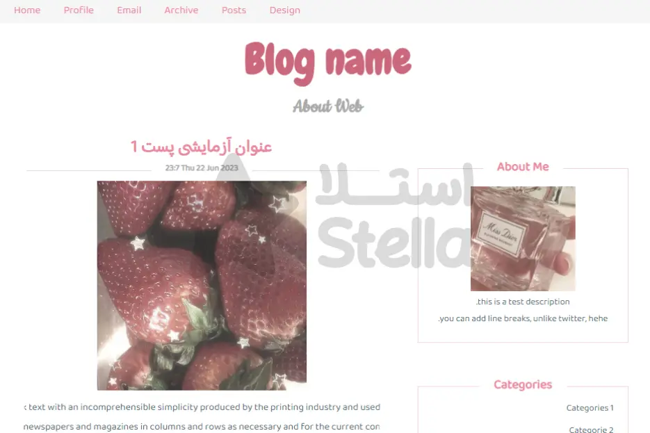 قالب وبلاگ شماره 11 - دو ستونه ریسپانسیو